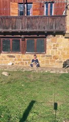 Les mastiffs rendent la méditation impossible