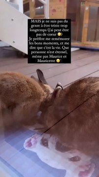 Malgré ces coups durs, la sportive garde le moral et publie une adorable vidéo des deux lapins avec un message positif