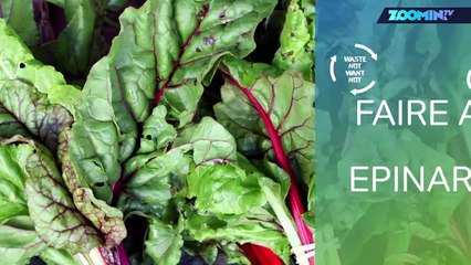 Recette : que faire avec des épinards ?