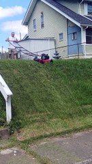 Solution parfaite pour une pelouse parfaite