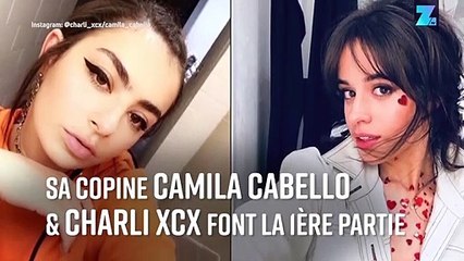 Taylor Swift emmène ses amis en tournée