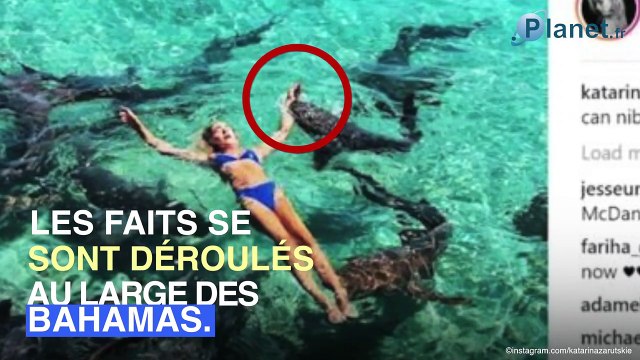 Une top-modèle attaquée par un requin en pleine séance photo