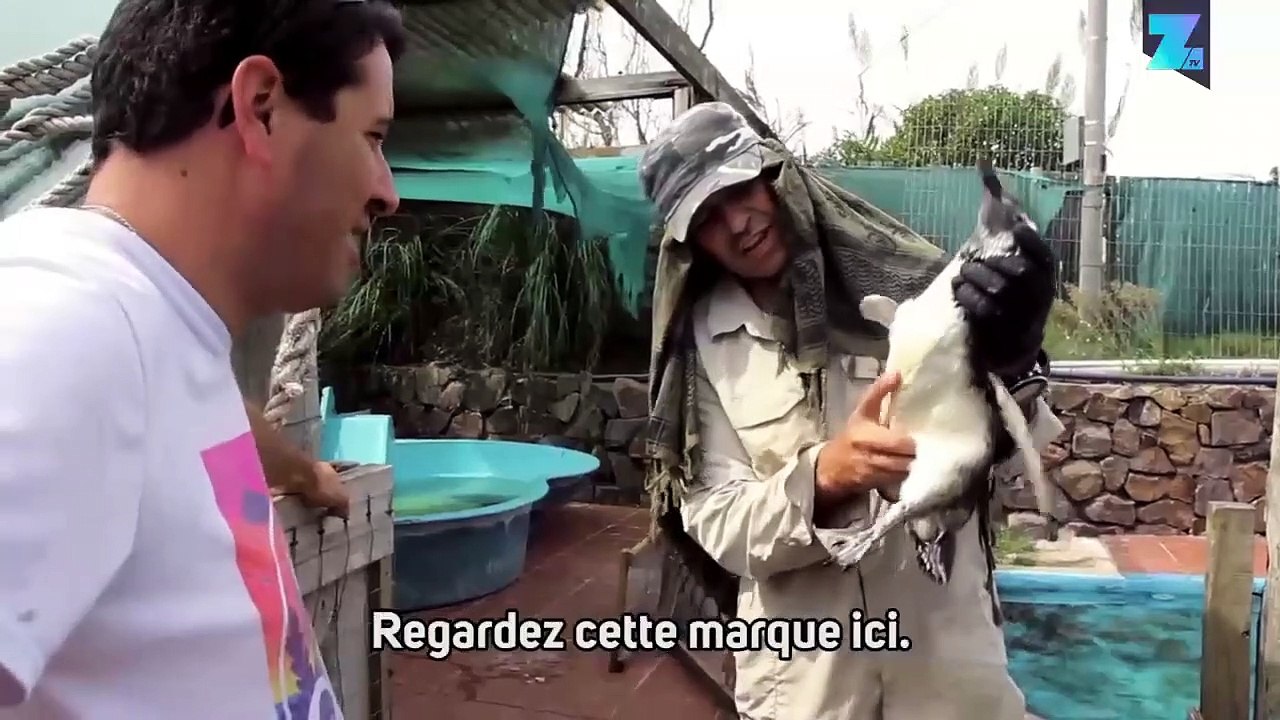 Le père des animaux marins