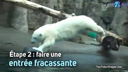 L'eau ? Nora, l'ourse polaire adore !