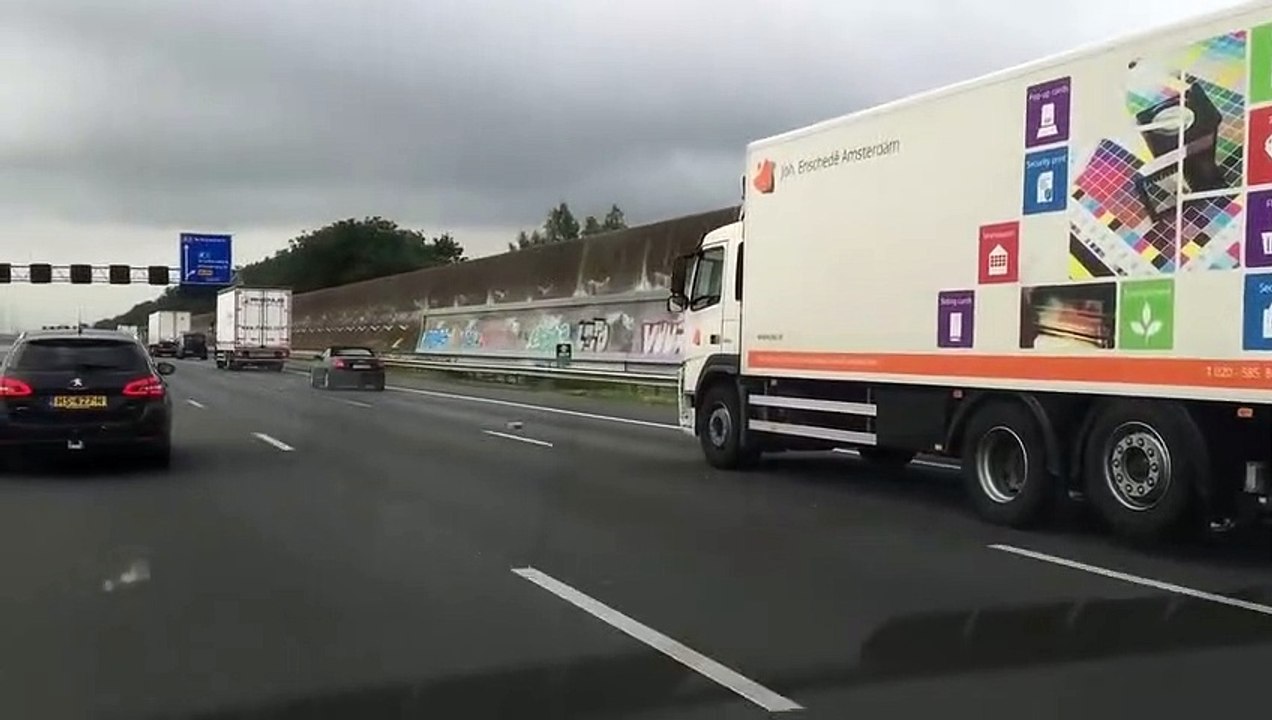 Pigeon vole à plus de 100 km/h