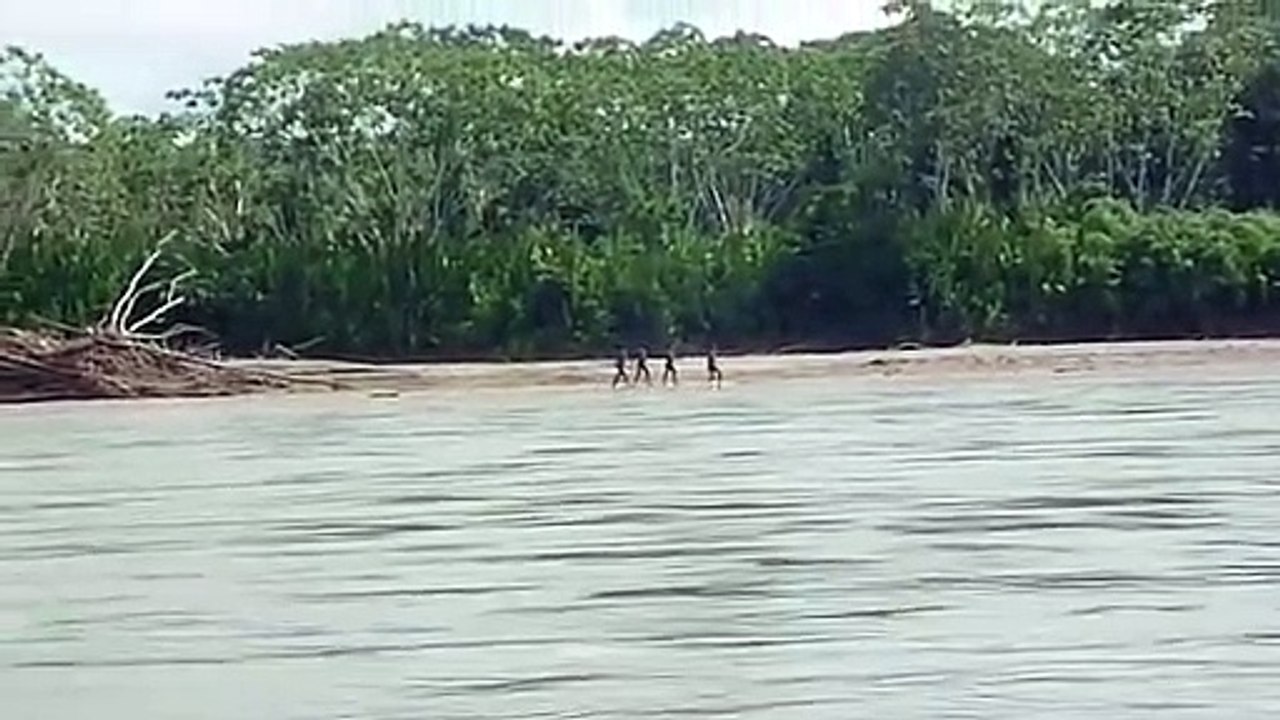 Une tribu indienne filmée sur une rivière péruvienne (peut-être la tribu des Mascho-Piro)
