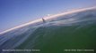 Un phoque échappe de justesse à l'attaque d'un requin