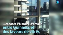Amitié improbable : le chat et les laveurs de vitres