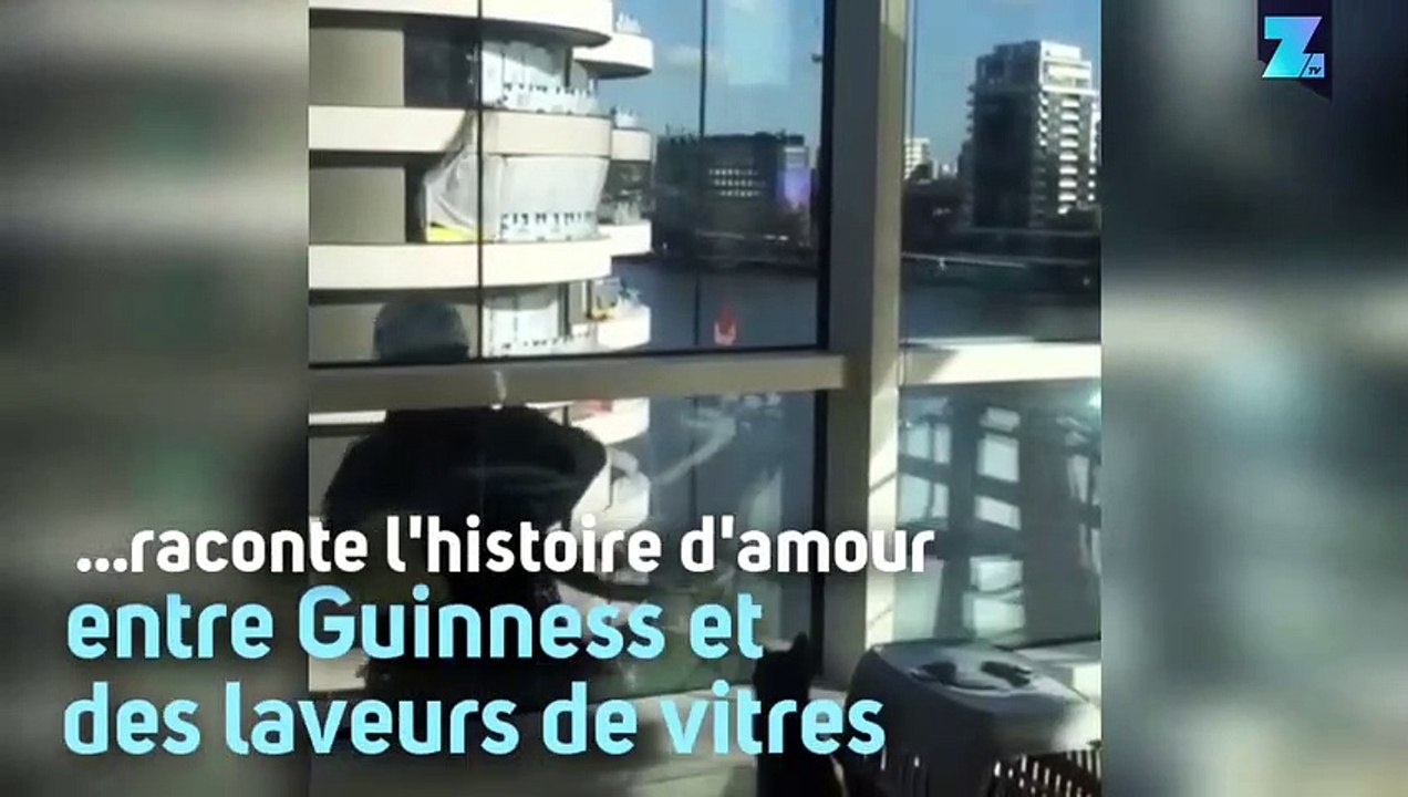 Amitié improbable : le chat et les laveurs de vitres