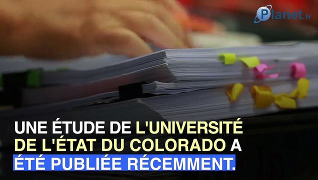 Les hommes avec un chat en photo de profil auraient moins de succès sur les sites de rencontre