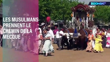 Espagne : un pélerinage où les animaux souffrent