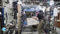Un gorille attaque la Mission Spatiale Internationale !