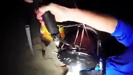 Des pêcheurs attrapent un requin de 300 kilos !