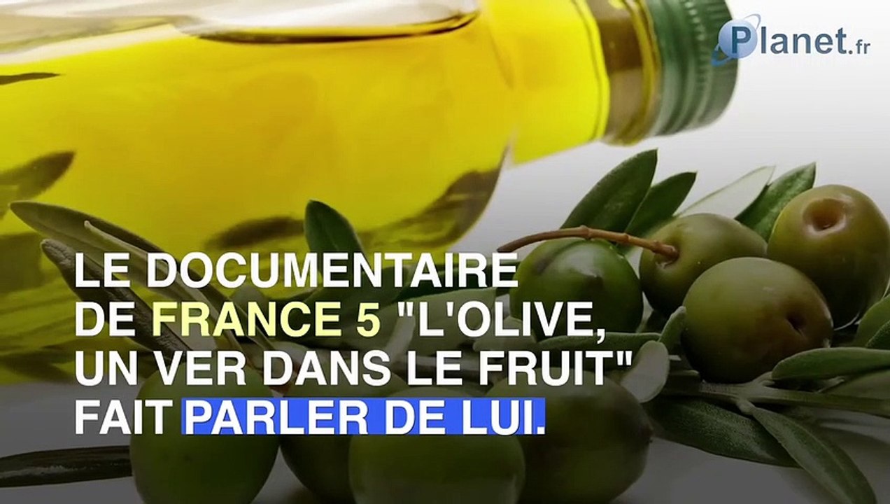 Des fausses olives noires sont en circulation