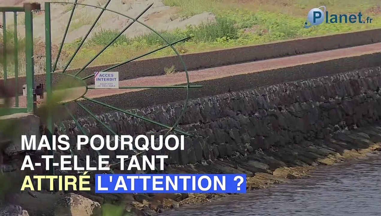 Brigitte Macron : avec qui fait-elle du jet ski à Brégançon ?