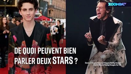 Harry Styles s'entretient avec Timothee Chalamet