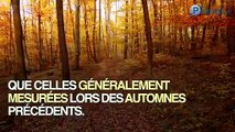 Températures, intempéries : ce qu'il nous attend à l'automne