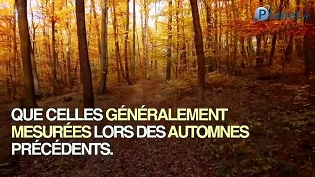 Températures, intempéries : ce qu'il nous attend à l'automne