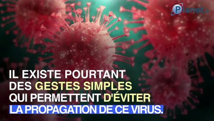 Coronavirus : 3 gestes simples pour éviter de l'attraper