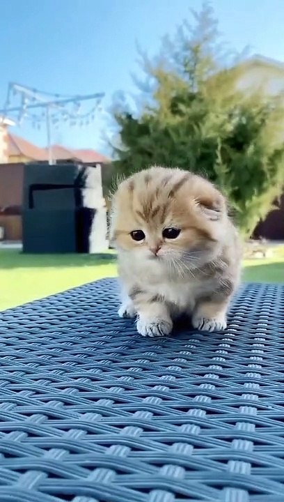 very cute