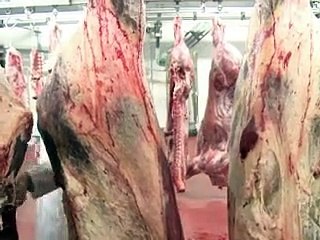 La viande fiable a la cote, mais manque cruellement de bouchers