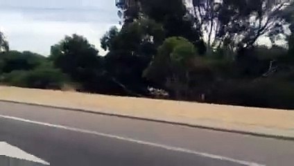 Vidéo choc : ces pêcheurs ont attaché un requin mort sur leur voiture