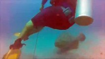 Le comble : un plongeur se fait voler sa pêche par un poisson !