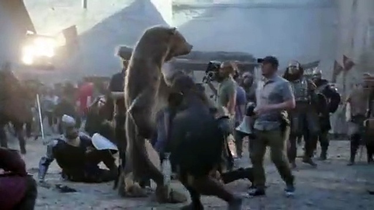 La pub Canal + avec l'ours élue meilleure pub du monde !