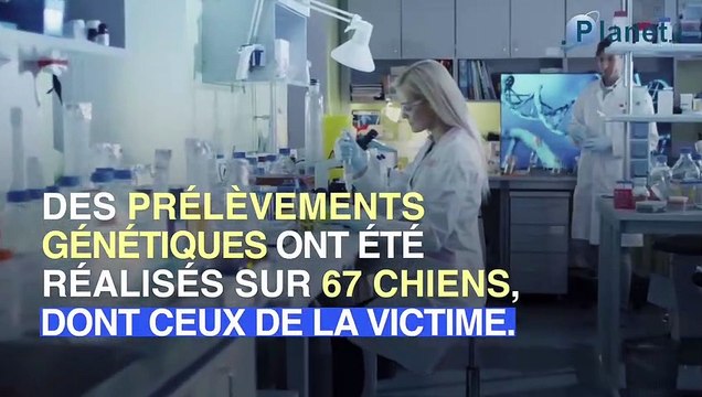 Décès d'Elisa Pilarski : son compagnon Christophe réagit à propos des pétitions
