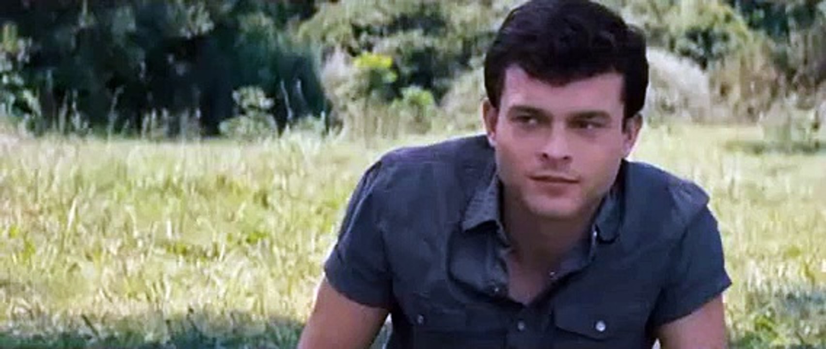 Sublimes créatures
