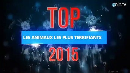 Top 2015 : les animaux les plus terrifiants
