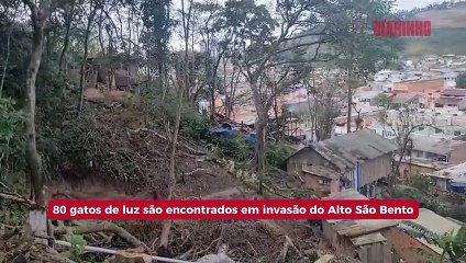 80 gatos de luz são encontrados em invasão do Alto São Bento