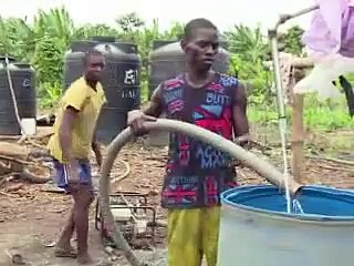 Au Nigeria, les autorités peinent à venir à bout du "tord-boyaux qui tue"