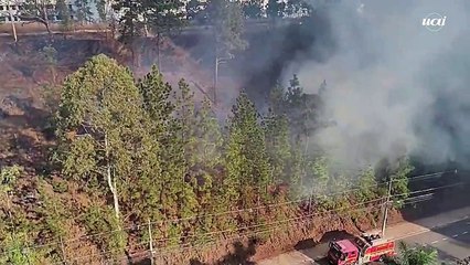 Incêndio atinge Parque Linear do Belvedere, em BH