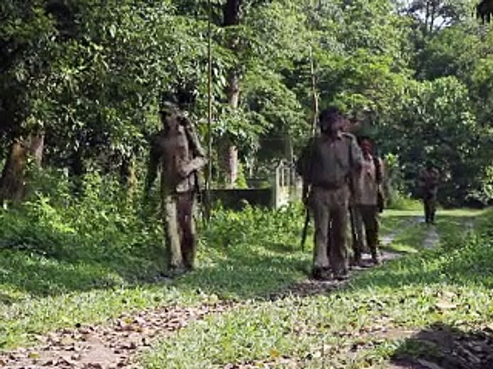 En Inde, de rares rhinocéros sous la menace des braconniers