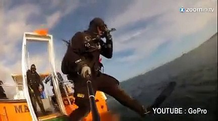 Un phoque succombe aux caresses d'un plongeur!