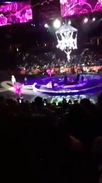 Neuf acrobates dont une chute pendant un numéro de cirque