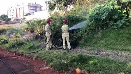 Bombeiros combatem incêndio em vegetação no Bairro Neva