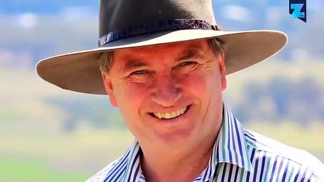 Johnny Depp et Amber Heard s'excusent pour leurs chiens