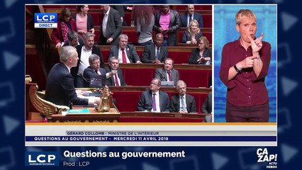 Vidéo choc : une girafe se penche dans la voiture... et cet homme a un très mauvais réflexe !
