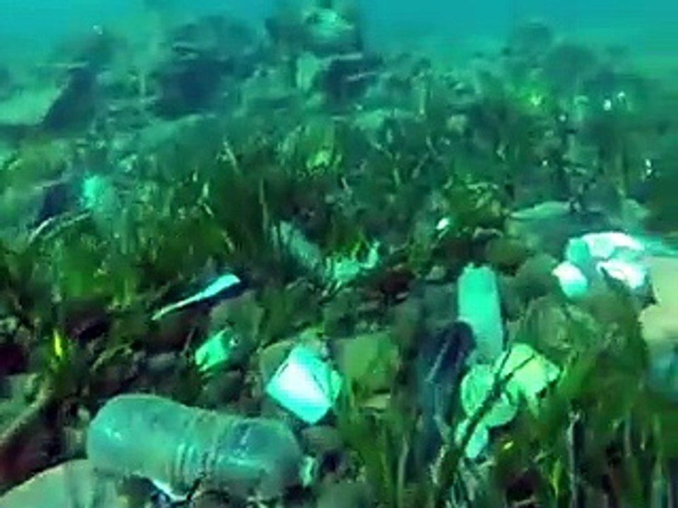 A Cannes, il filme les fonds marins... une vraie poubelle !