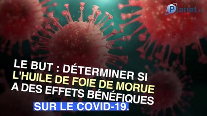 L'huile de foie de morue efficace contre le Covid-19 ?