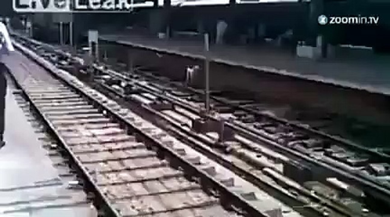 Un chien passe sous un train et survit!