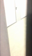 Sotchi : un loup se balade dans le hall d’un hôtel