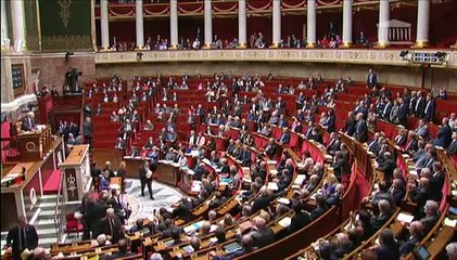 La minute de silence ratée de Cécile Duflot à l'Assemblée nationale