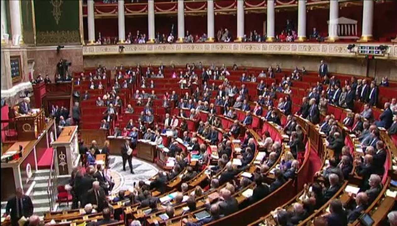 La minute de silence ratée de Cécile Duflot à l'Assemblée nationale
