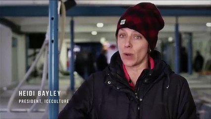 Découvrez Ice Truck, le camion fait de glace !