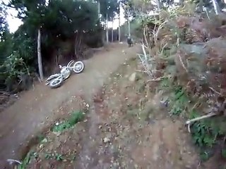 Un bélier charge une moto