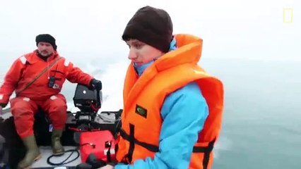Il trouve un requin du Groenland, une espère jamais observée auparavant !