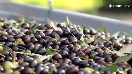 L'huile d'olive italienne n'est pas italienne